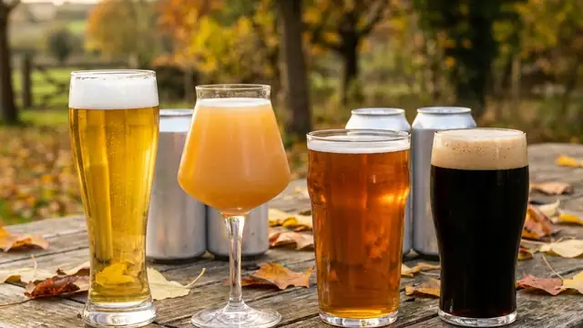 Row of unlabelled beer glasses from pale golden lager to dark stout on a wooden bar top
